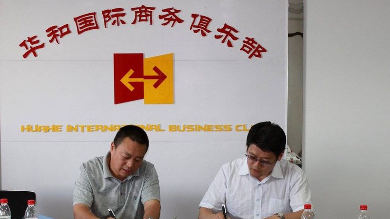管理体系咨询：揭秘十大品牌背后的价值**