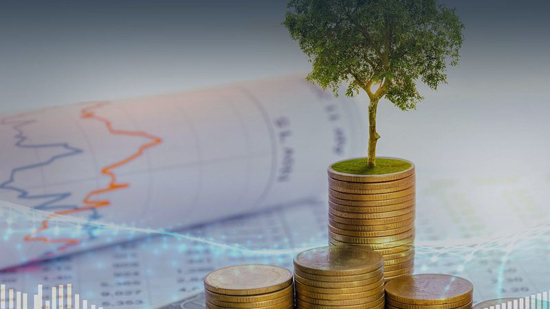 企业并购咨询全流程步骤解析